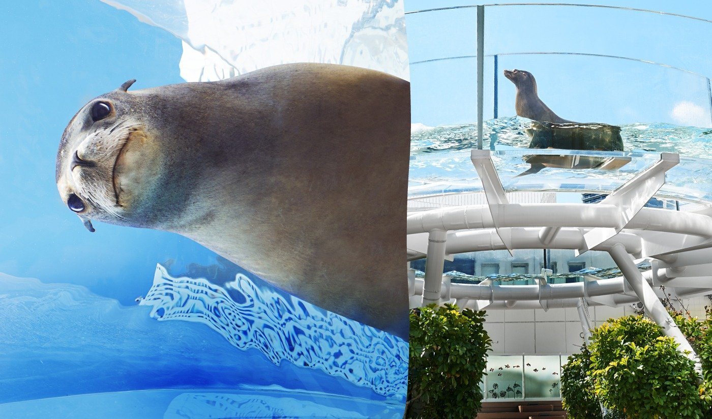 🐠 선샤인 수족관 이미지 8